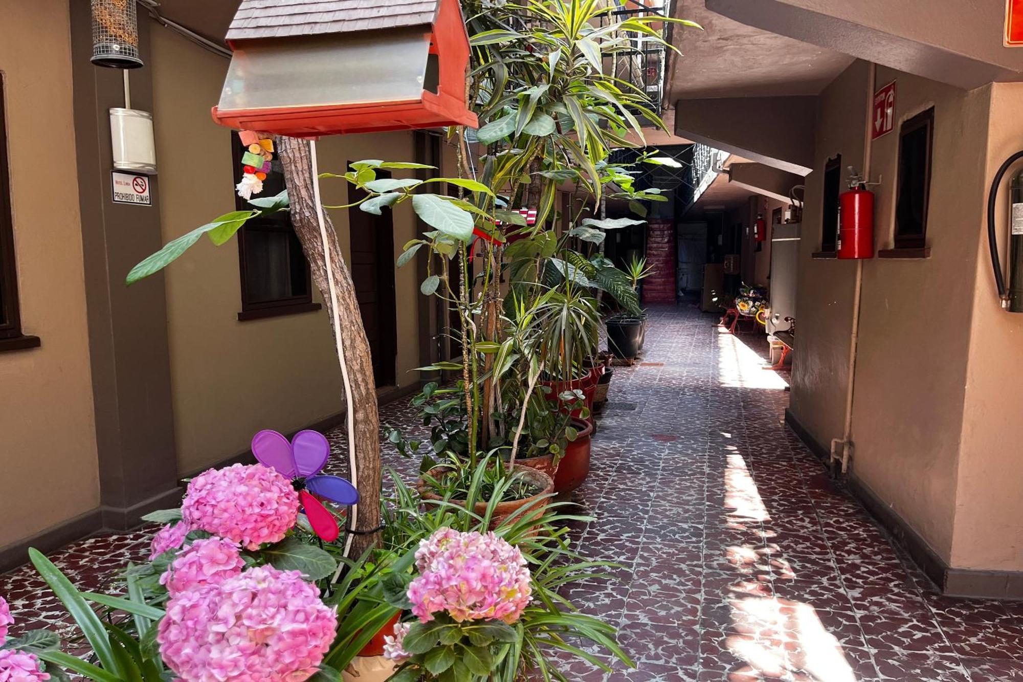 Oyo Hotel Linda Tijuana Zewnętrze zdjęcie
